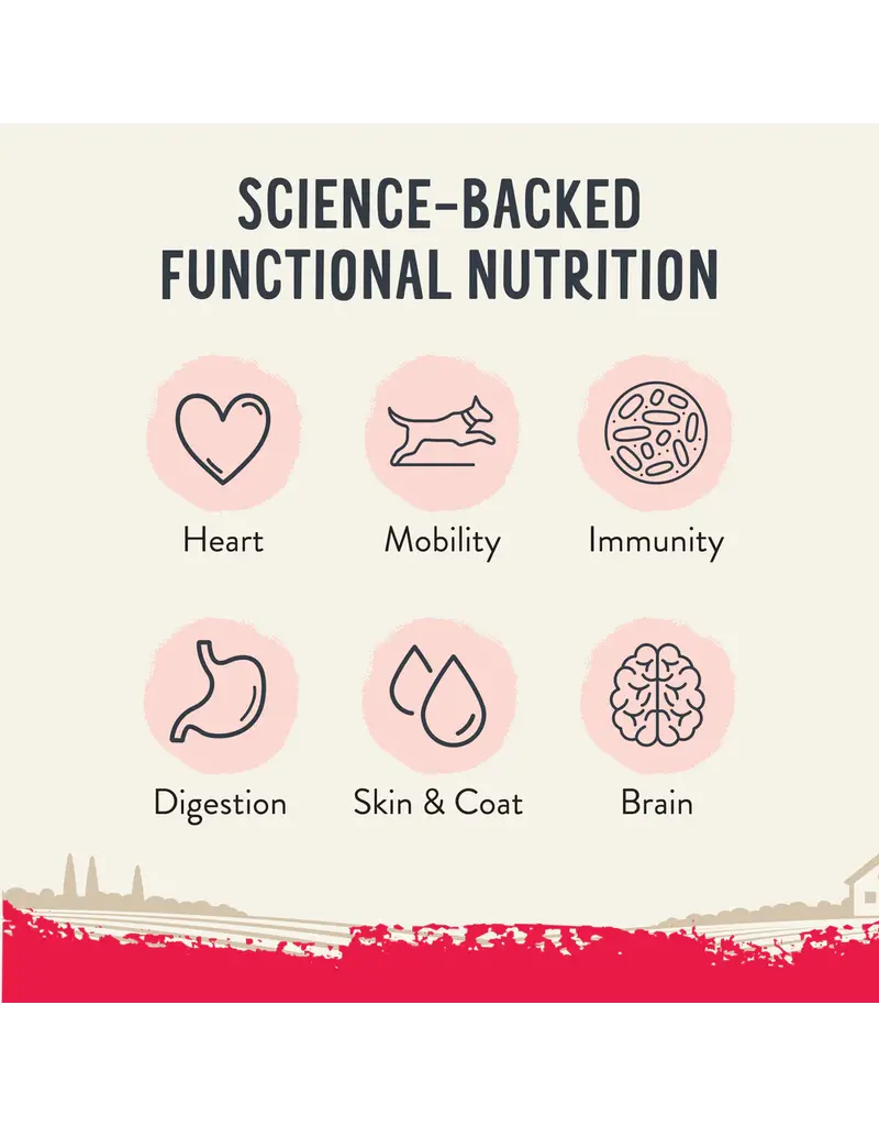 Health Extension Health Extension SuperBites Freeze-Dried Raw Mixer Topper Treat Beef