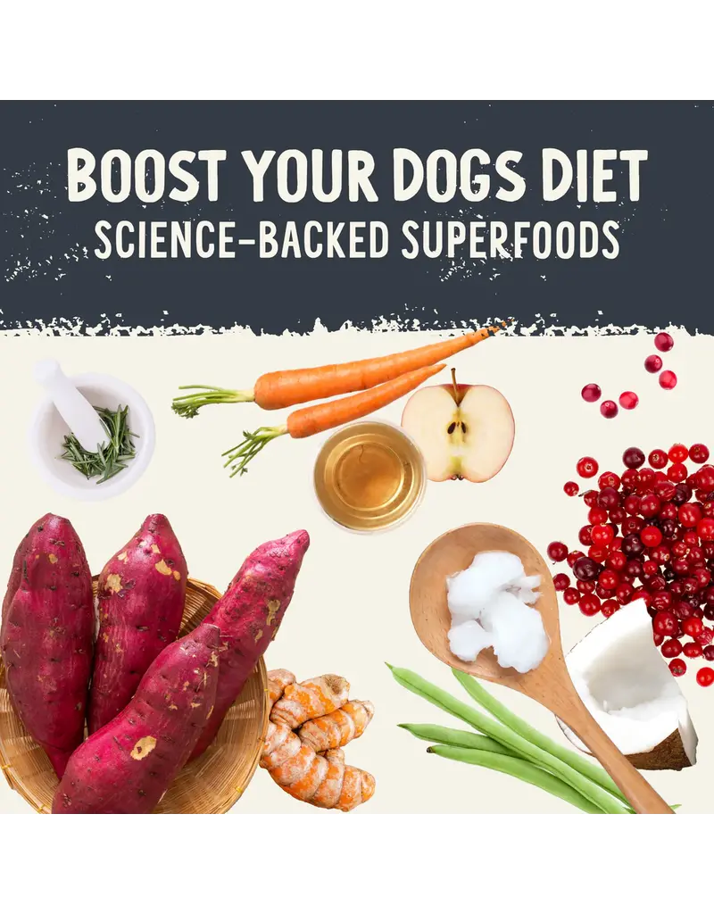 Health Extension Health Extension SuperBites Freeze-Dried Raw Mixer Topper Treat Beef