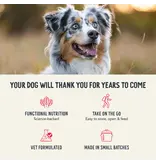 Health Extension Health Extension SuperBites Freeze-Dried Raw Mixer Topper Treat Beef