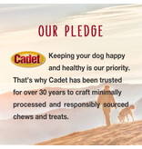 IMS Cadet Chewalicious Layered N Dipped Dog Chews Oats 2 Pk