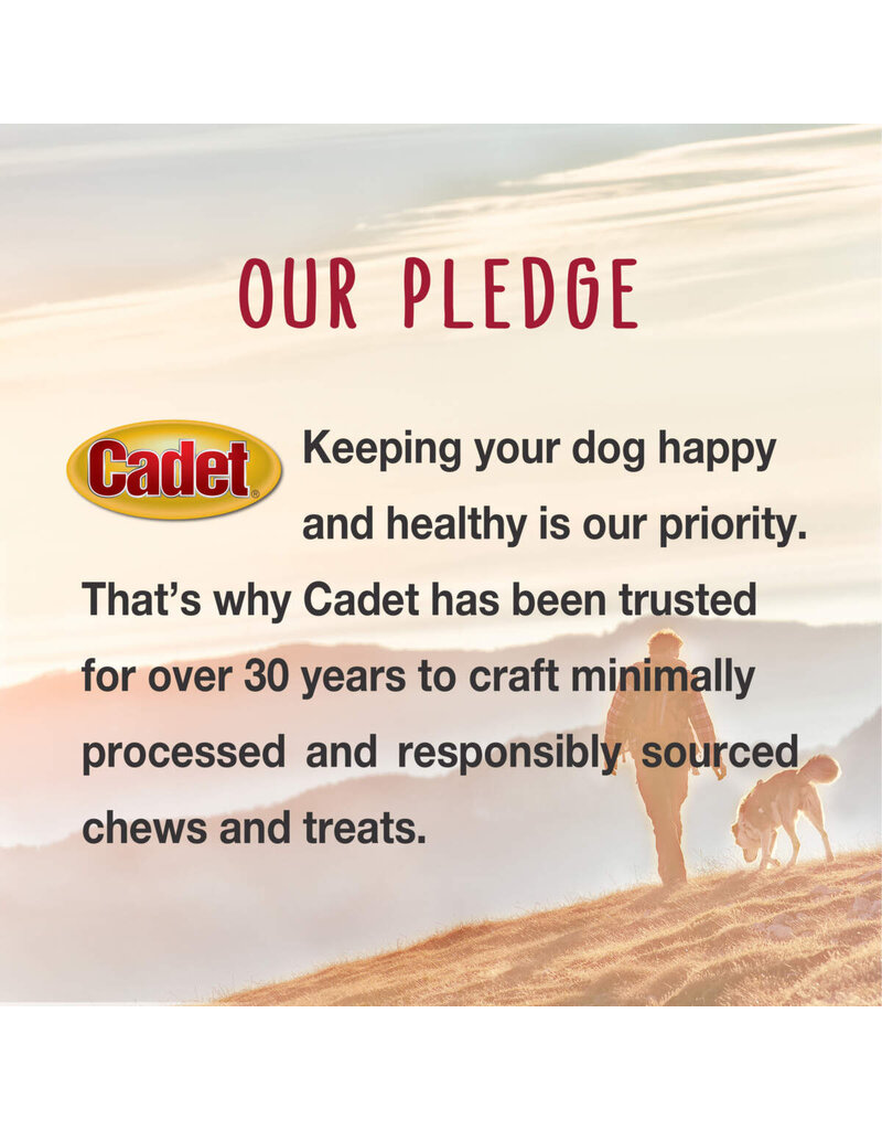 IMS Cadet Chewalicious Layered N Dipped Dog Chews Oats 2 Pk