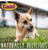 IMS Cadet Chewalicious Layered N Dipped Dog Chews Nut 2 Pk