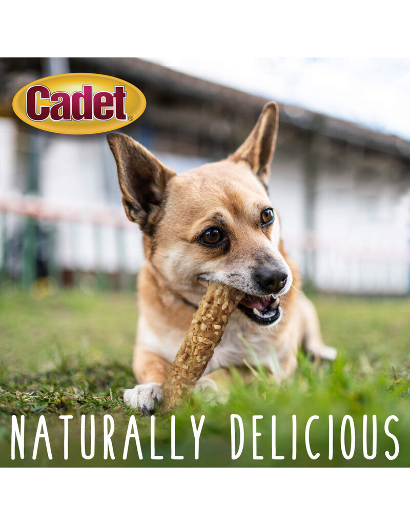 IMS Cadet Chewalicious Layered N Dipped Dog Chews Nut 2 Pk