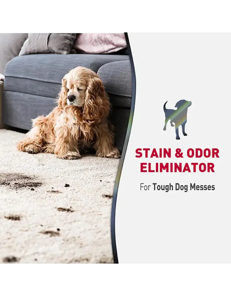 Nature's Miracle Nature's Miracle Advanced Dog Stain and Odor Eliminator Foam 17.5 Oz