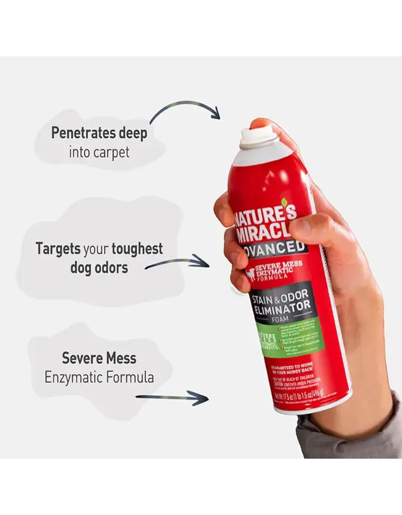Nature's Miracle Nature's Miracle Advanced Dog Stain and Odor Eliminator Foam 17.5 Oz