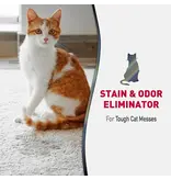 Nature's Miracle NATURE'S MIRACLE ADV STAIN & ODOR REMOVER FOAM FOR CATS