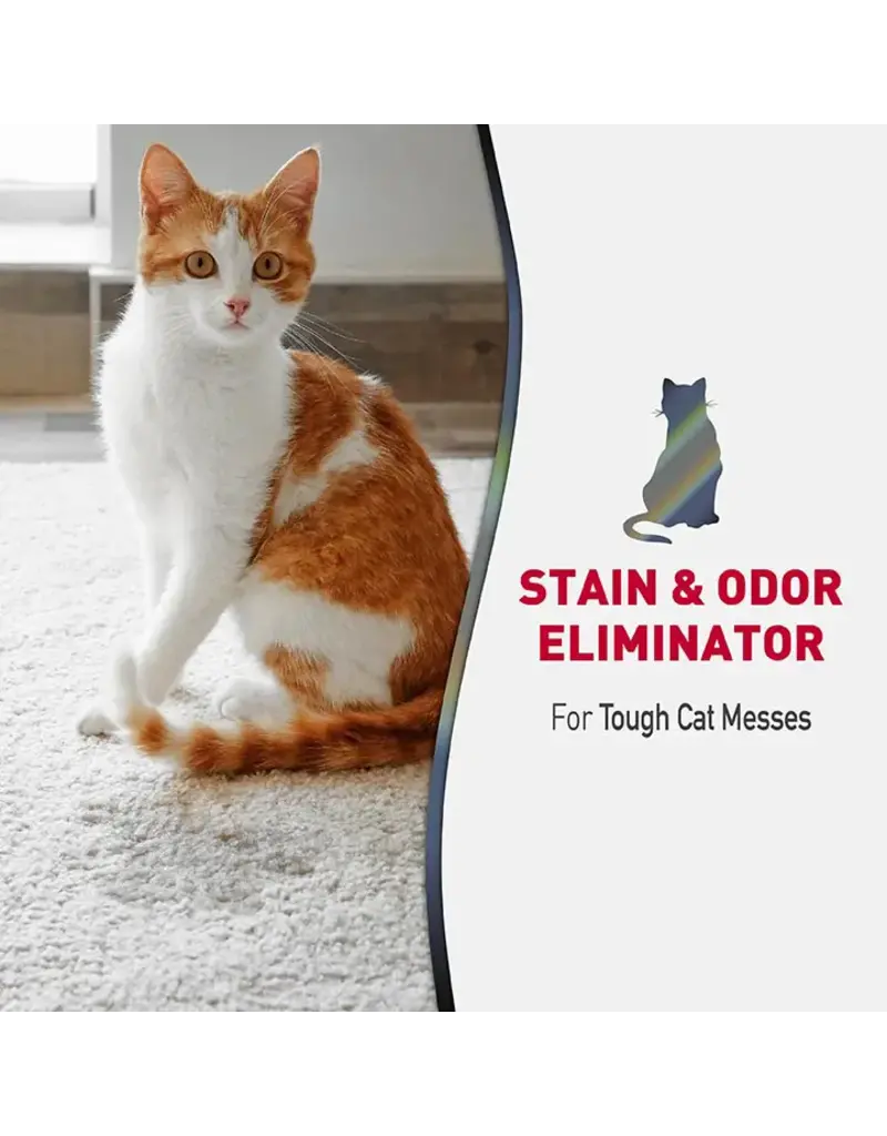 Nature's Miracle Nature's Miracle Advanced Stain & Odor Remover Foam for Cats17.5 OZ