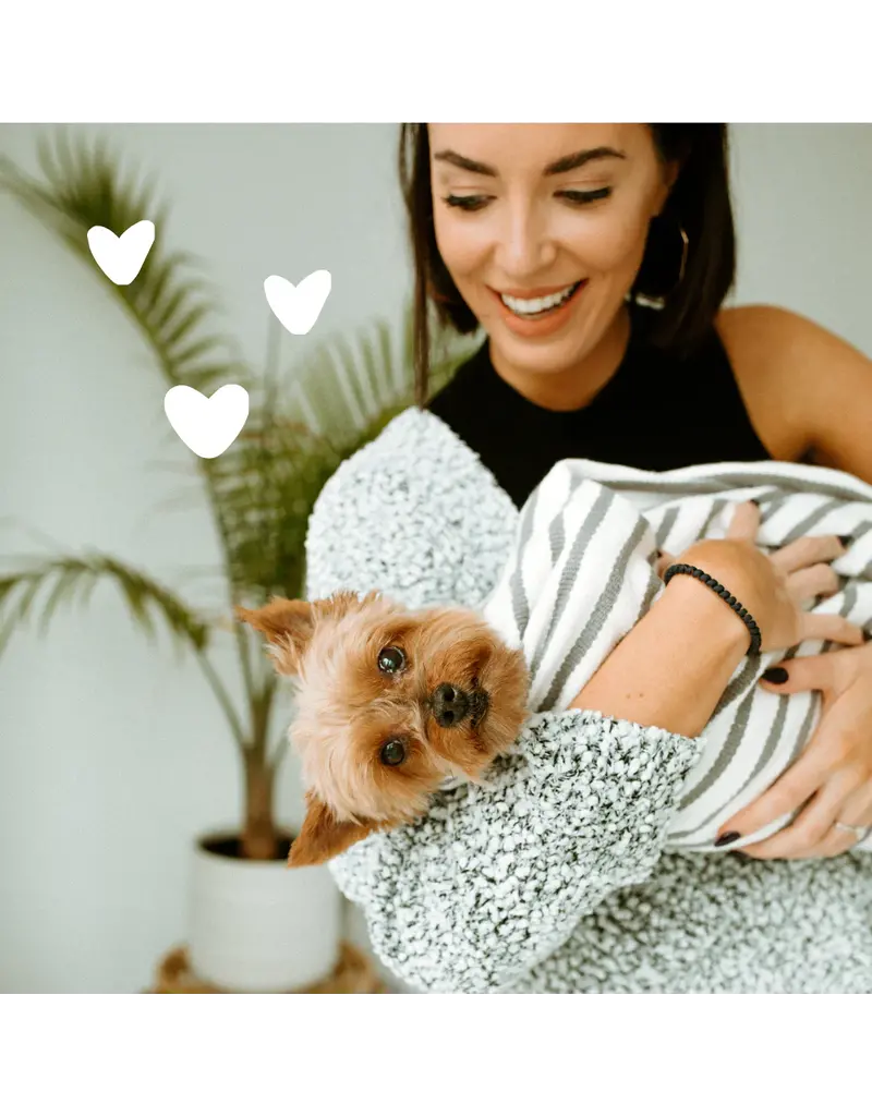 Earthbath Earthbath Hypoallergenic Shampoo 16 Oz