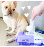 Earthbath Earthbath Tushy Wipes 100ct