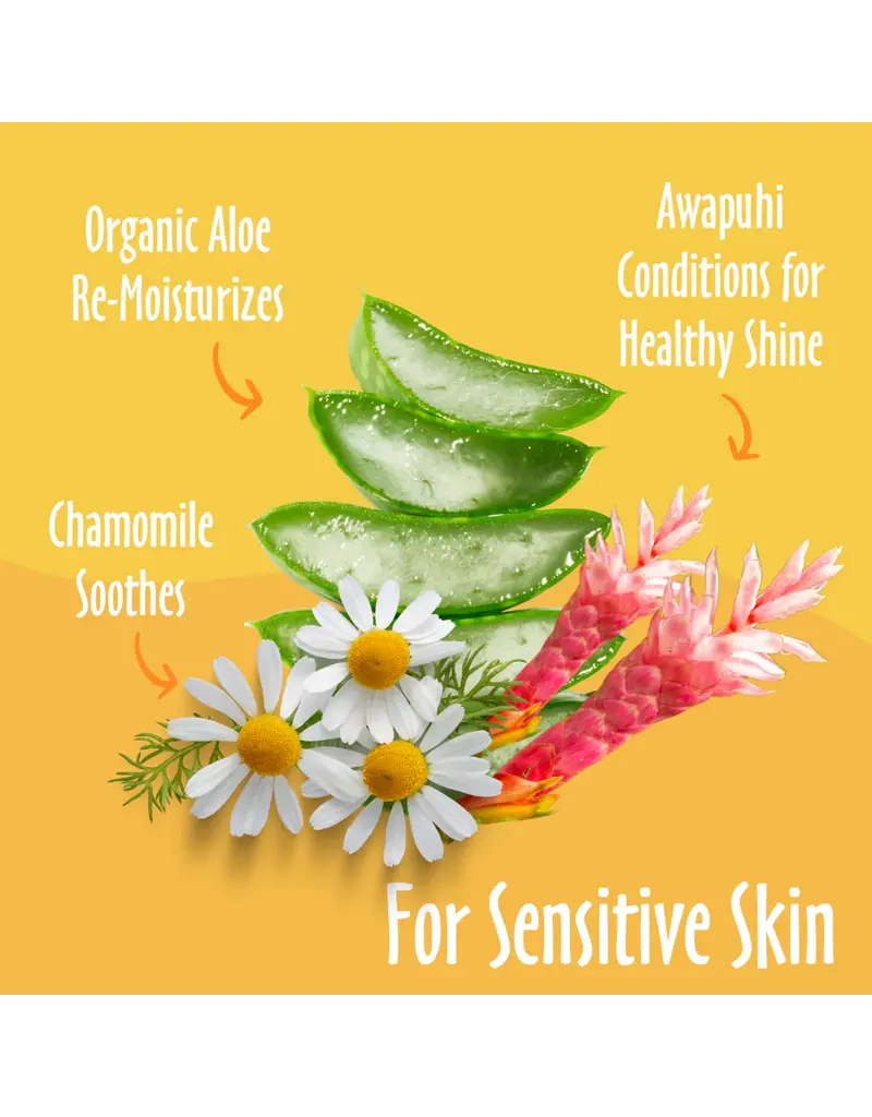 Earthbath Earthbath Hypo-Allergenic Grooming Wipes