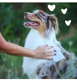 Earthbath Earthbath Hypo-Allergenic Grooming Wipes