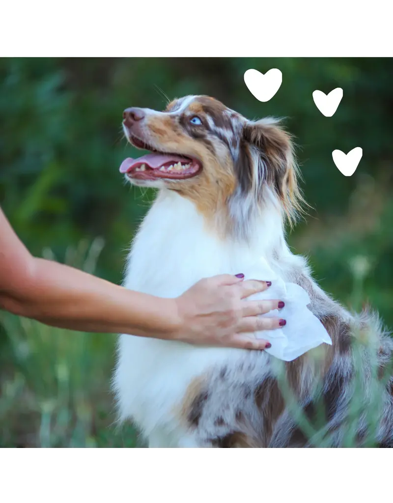 Earthbath Earthbath Hypo-Allergenic Grooming Wipes