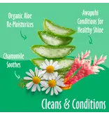 Earthbath Earthbath Green Tea & Awapuhi Grooming Wipes 100 ct