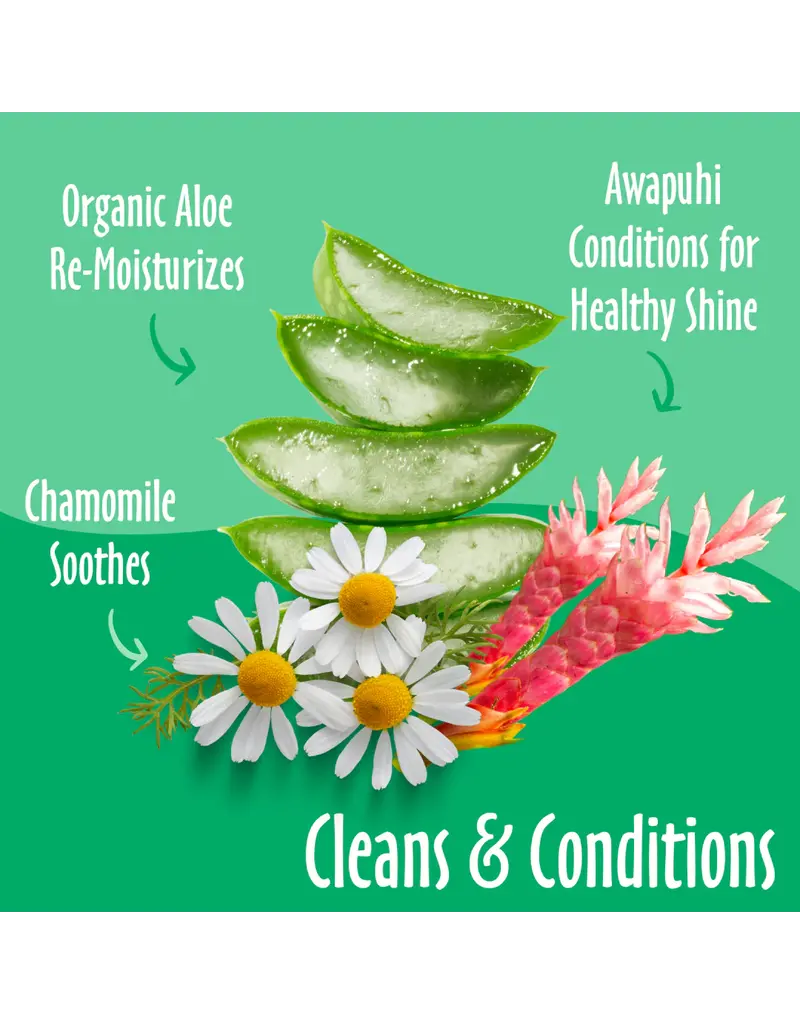 Earthbath Earthbath Green Tea & Awapuhi Grooming Wipes 100 ct