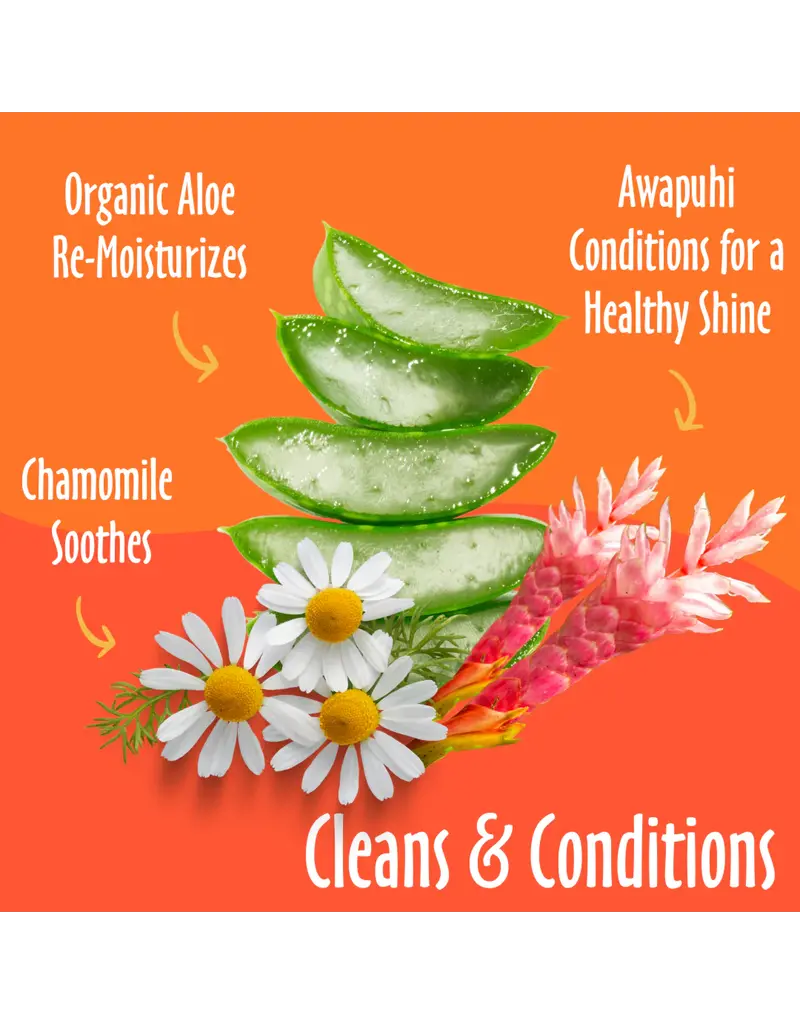 Earthbath Earthbath Mango Tango Grooming Wipes 100 pk