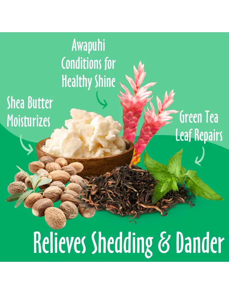 Earthbath Earthbath Green Tea & Awapuhi Shed Control Shampoo 16 oz