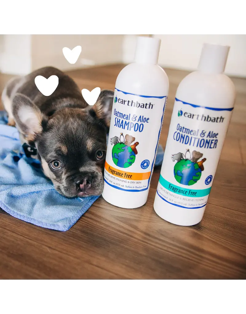 Earthbath Earthbath Fragrance Free Oatmeal & Aloe Shampoo 16 oz