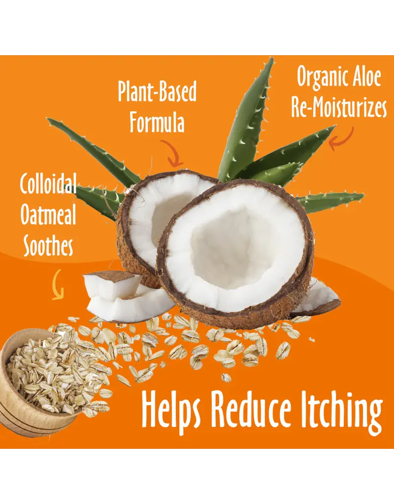 Earthbath Earthbath Fragrance Free Oatmeal & Aloe Shampoo 16 oz