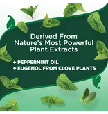 Vet's Best Vet's Best Flea And Tick Home Spray For Dogs 32 oz
