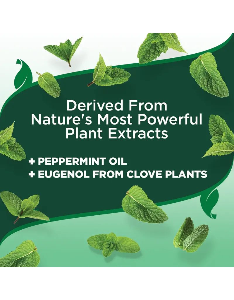 Vet's Best Vet's Best Flea And Tick Home Spray For Dogs 32 oz