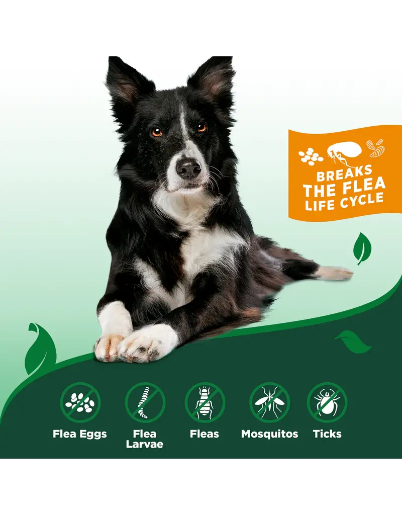 Vet's Best Vet's Best Flea And Tick Home Spray For Dogs 32 oz