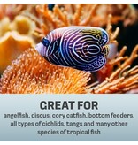 Spectrum Omega One Frozen Pod Pouch Brine Shrimp 30 ct 4 oz 