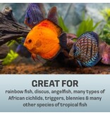 Spectrum Omega One Frozen Pod Pouch Bloodworm 30 ct 4 oz