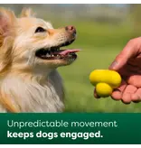 Earth Rated Earth Rated Fetch Toy