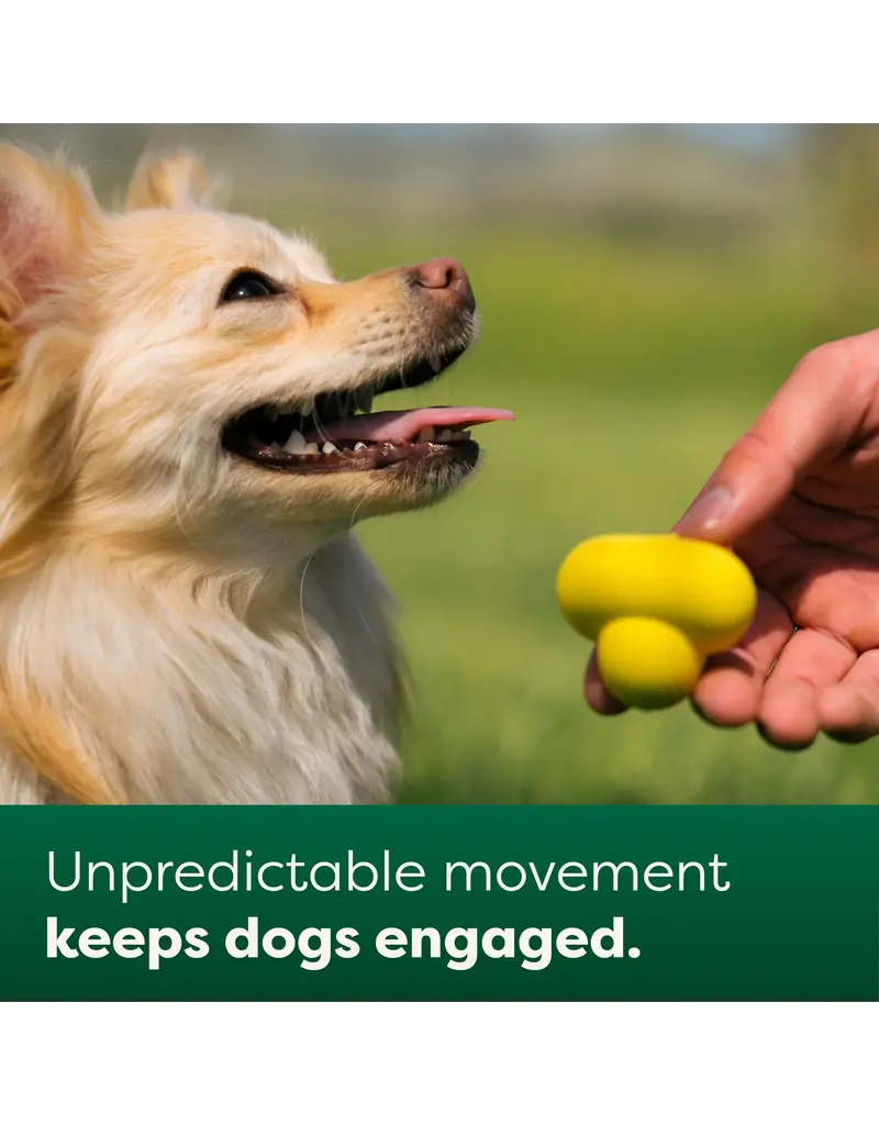 Earth Rated Earth Rated Fetch Toy