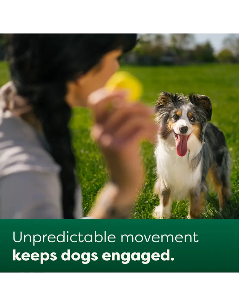 Earth Rated Earth Rated Fetch Toy