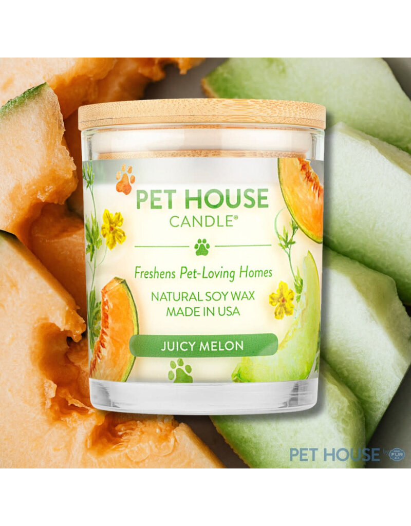 Pet House by One Fur All Pets Pet House Candle Summer Scents 9oz