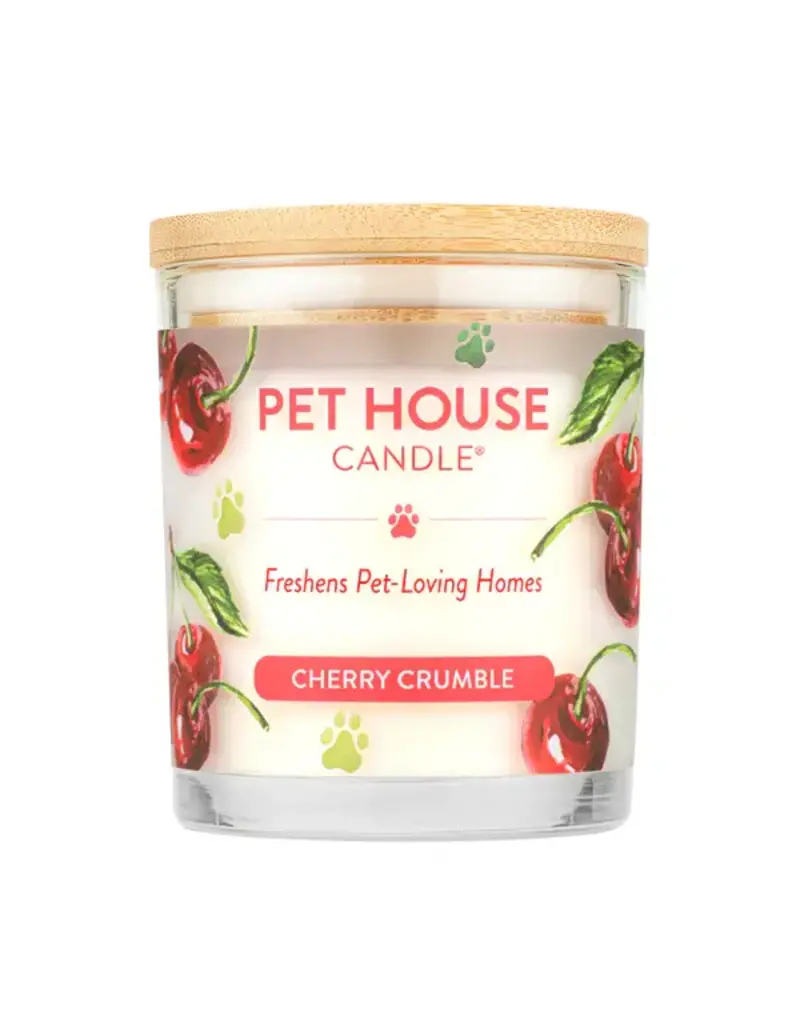 Pet House by One Fur All Pets Pet House Candle Winter Scents 9oz