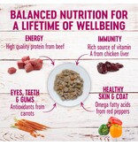 Wellness Wellness Petite Entrees Mini-Filets with Roasted Beef, Carrots & Red Peppers 3oz