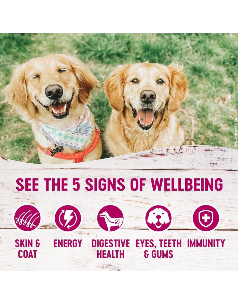 Wellness Wellness Petite Entrees Mini-Filets with Roasted Beef, Carrots & Red Peppers 3oz