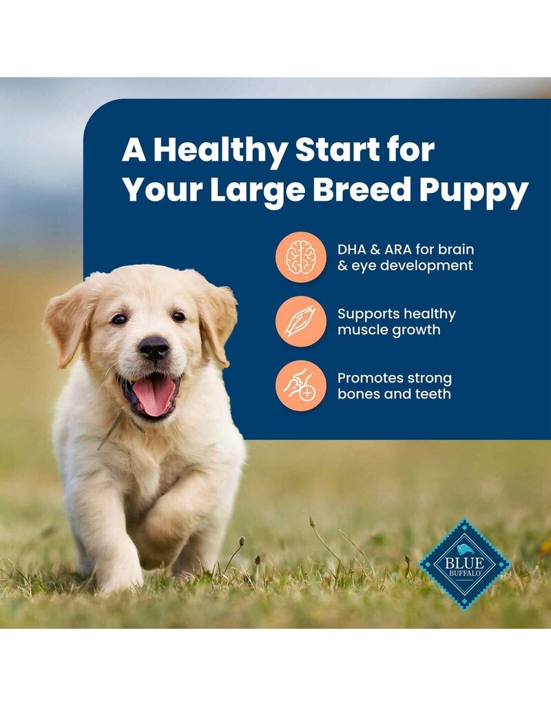 Blue Buffalo Blue Buffalo LPF LB Puppy Chicken & Brown Rice