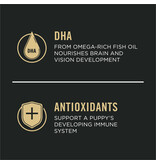 ProPlan Pro Plan Focus Puppy Chicken & Rice Formula  6 lb