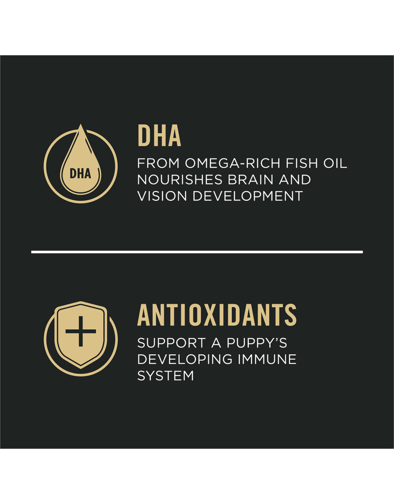 ProPlan Pro Plan Focus Puppy Chicken & Rice Formula  6 lb