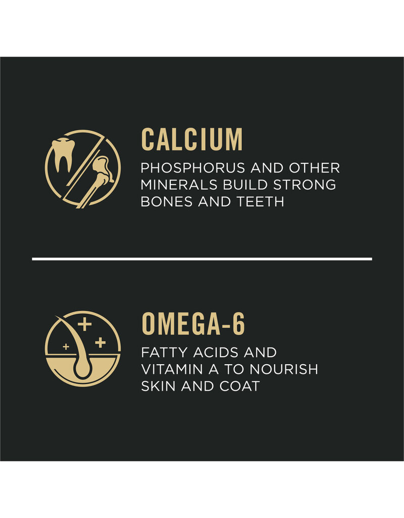 ProPlan Pro Plan Focus Puppy Chicken & Rice Formula  6 lb