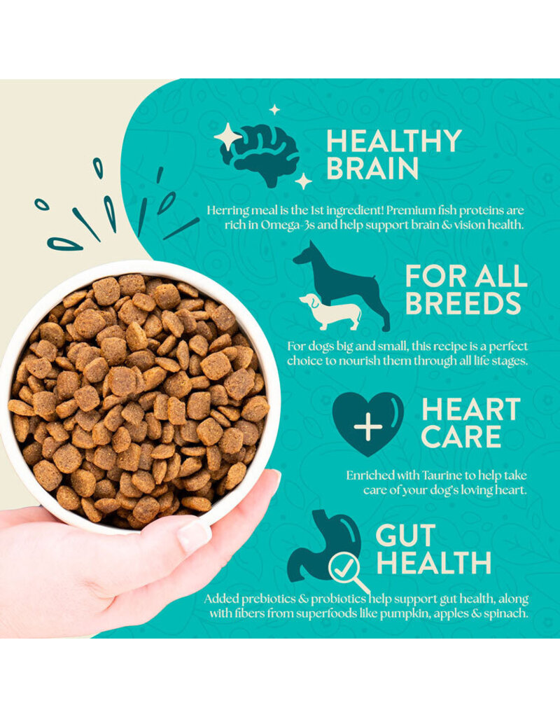 Earthborn Holistic Earthborn Coastal Catch Grain Free