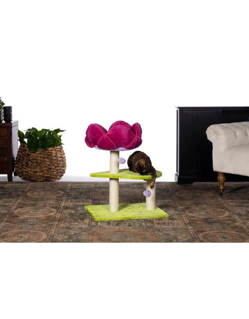 Prevue Pet Prevue Pet Flower Power Cat