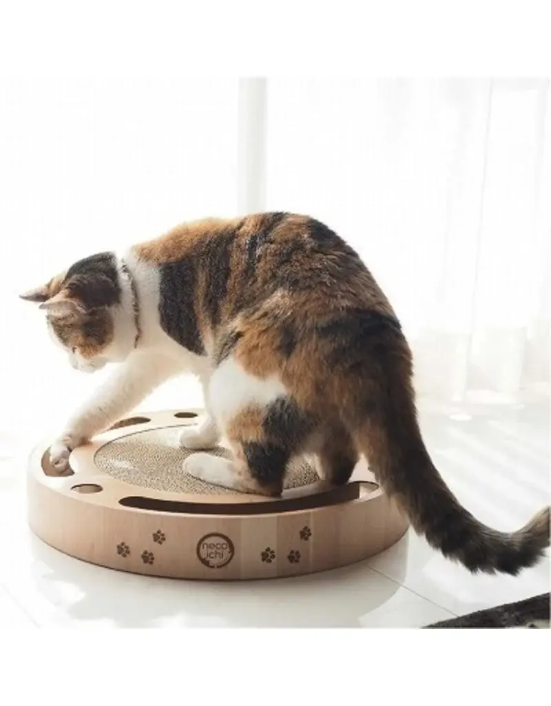 Necoichi Necoichi Track Ball Scratcher