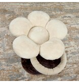 MidWest Feline Nuvo Cat Bed Lily