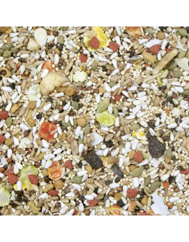 Higgins Higgins Safflower Gold Conure Cockatiel 3 Lb