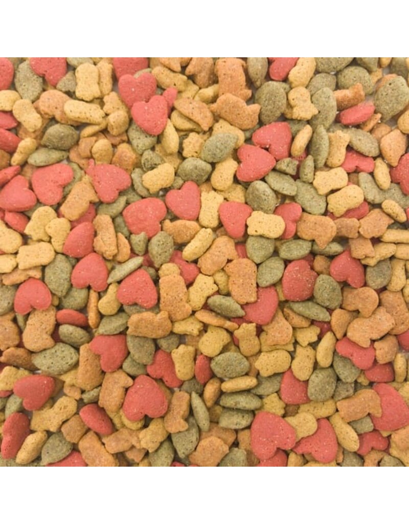 Higgins Higgins Intune Parrot Food