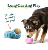 Woof Woof! Birthday Pops LG 8oz