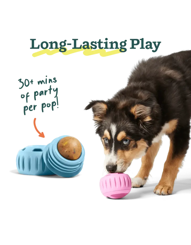 Woof Woof! Birthday Pops LG 8oz