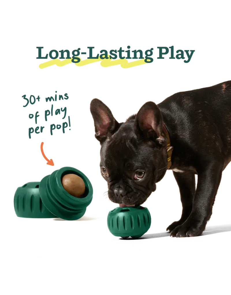 Woof Woof! Pupsicle Peanut Butter Chicken Pops