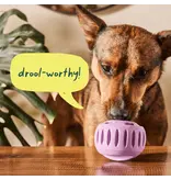 Woof Woof! Pupsicle Peanut Butter Chicken Pops