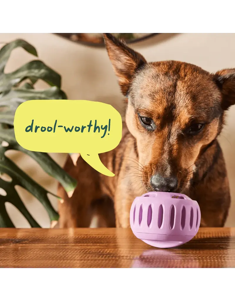 Woof Woof! Pupsicle Chicken Peanut Butter Pops