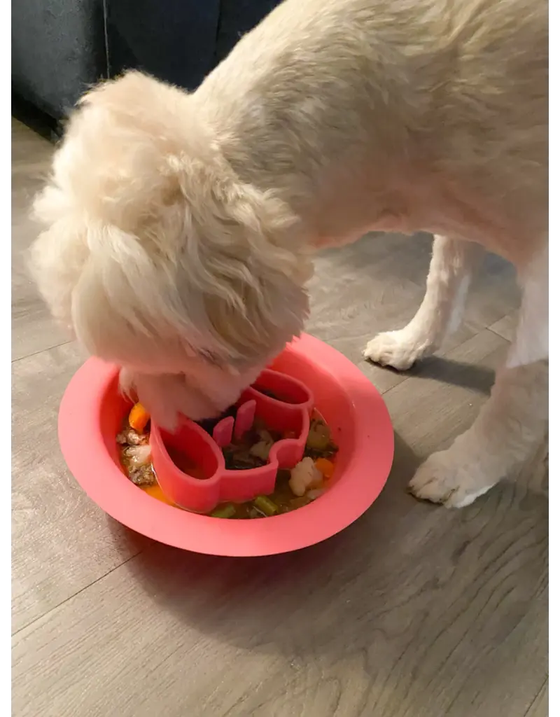 Spunky Pup Slow Feeder and Lick Pad Combo Bowl
